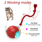 Interactive Cat Toys Ball Automatic for Indoor Cats Fast Rolling on Carpet Chirping & Motion Activate Cat Toys Pet Toy Interactive Motion Activate