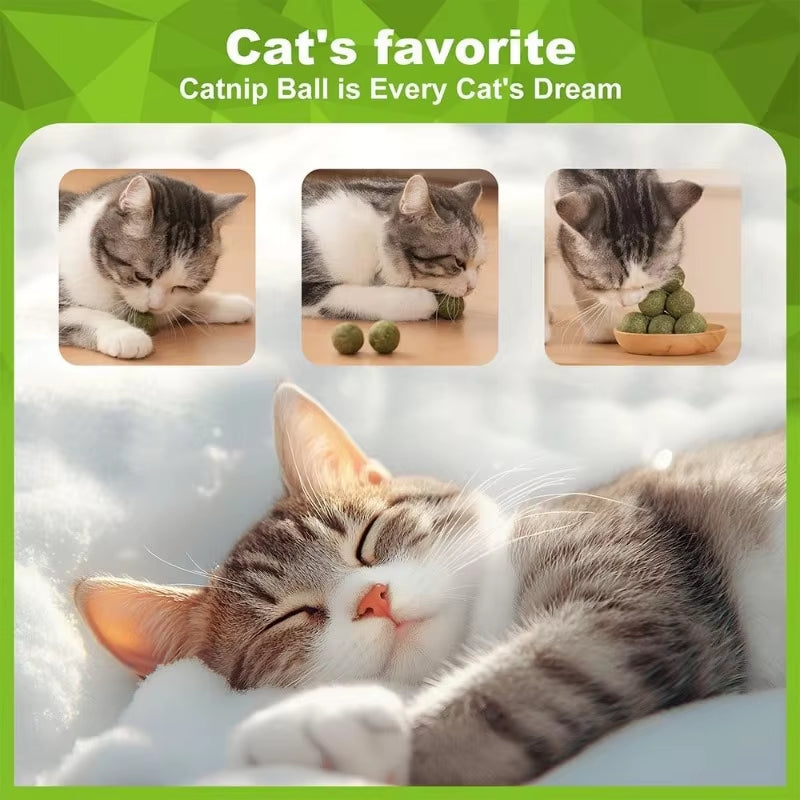 5/10/20Pcs Natural Catnip Balls Kitten Cat Nip Ball Licker Toy for Cats of All Breeds,Lick Ball Toys That Fascinate Pet Cats