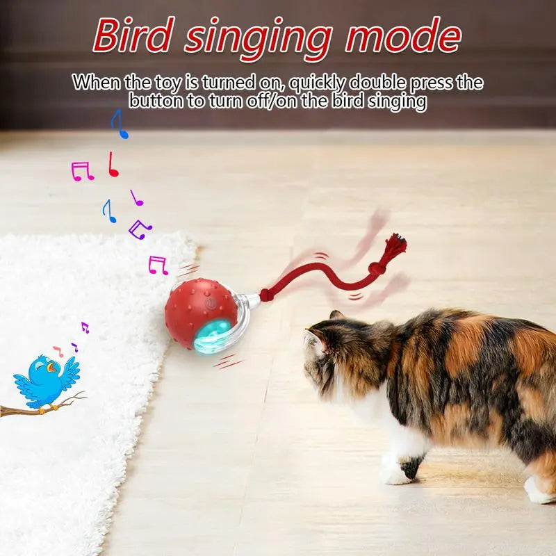 Interactive Cat Toys Ball Automatic for Indoor Cats Fast Rolling on Carpet Chirping & Motion Activate Cat Toys Pet Toy Interactive Motion Activate