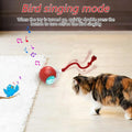 Interactive Cat Toys Ball Automatic for Indoor Cats Fast Rolling on Carpet Chirping & Motion Activate Cat Toys Pet Toy Interactive Motion Activate
