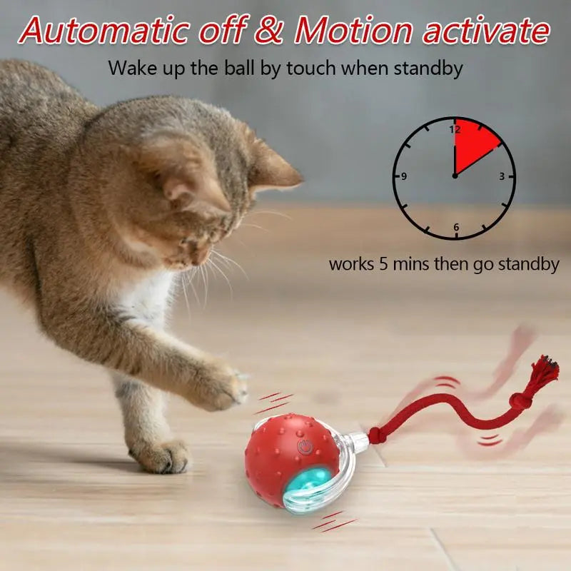Interactive Cat Toys Ball Automatic for Indoor Cats Fast Rolling on Carpet Chirping & Motion Activate Cat Toys Pet Toy Interactive Motion Activate